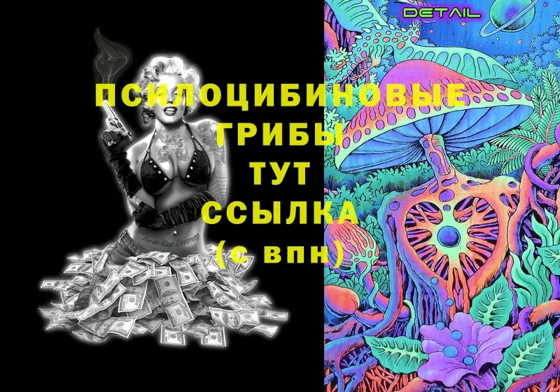 Псилоцибиновые грибы Psilocybine cubensis  Инза 